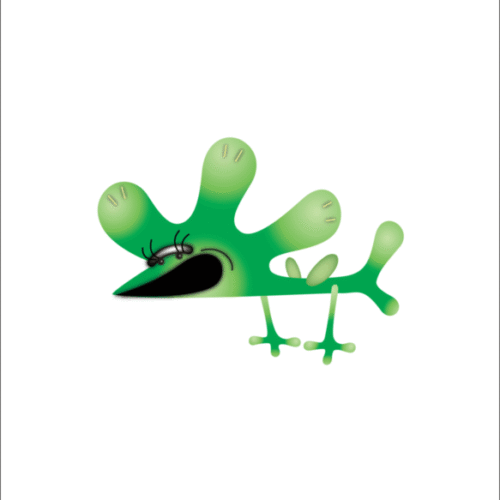 SchoolofBirds13