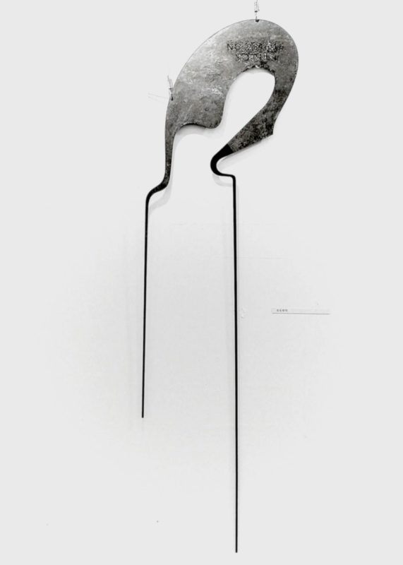 검두루미1