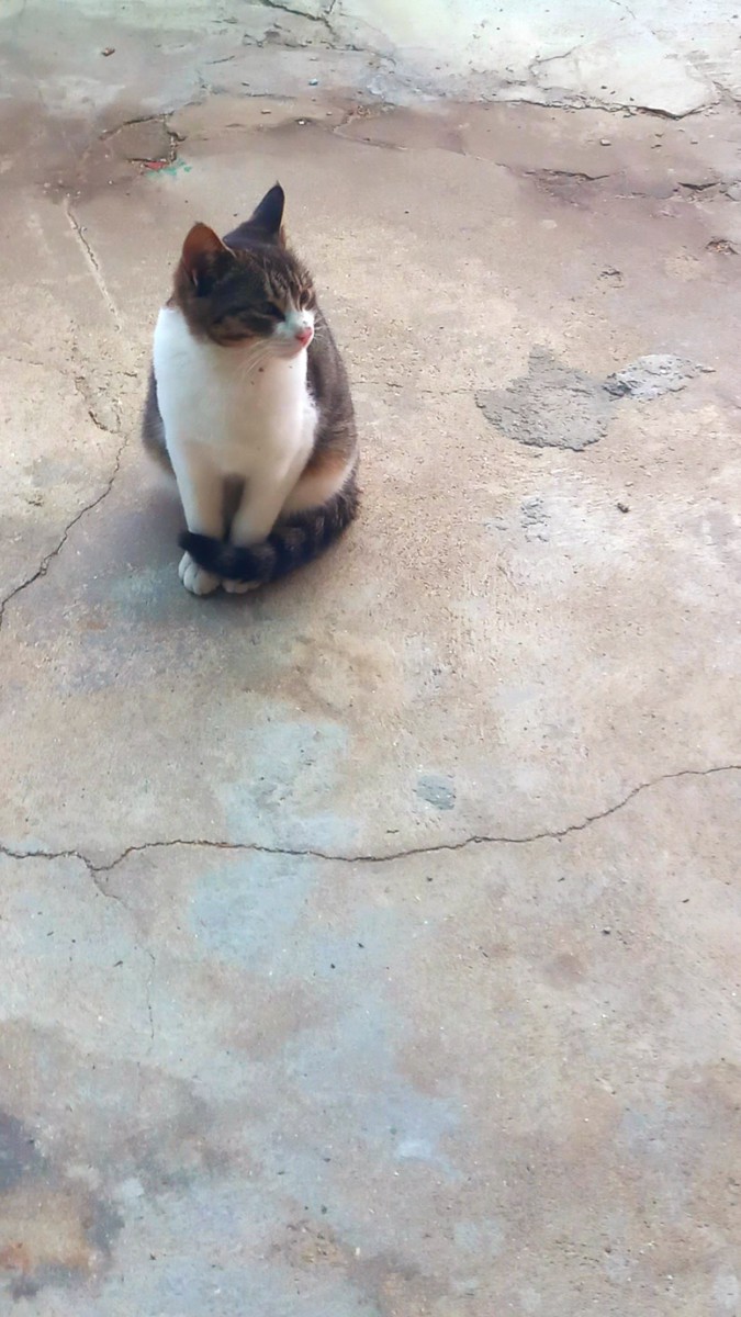 Blog list featured image